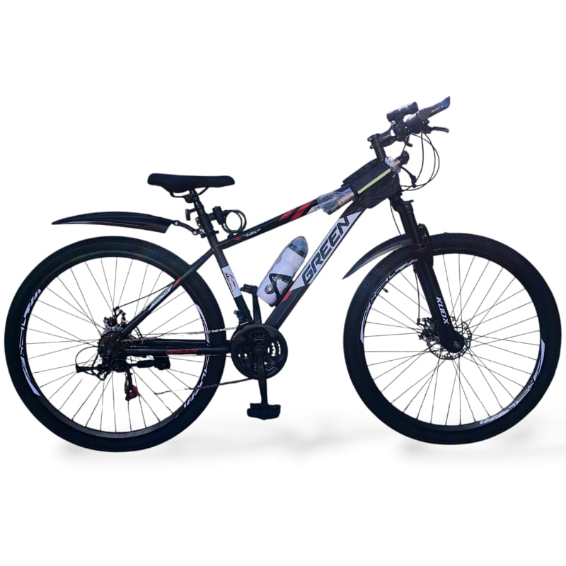 Bicicleta FLOW MTB R29 acero